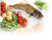 Early Life Nutrition